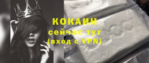 Альфа ПВП Инсар