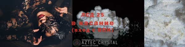 спиды Инта
