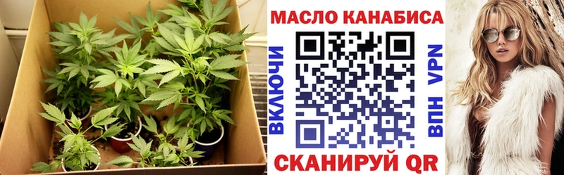 mega ТОР  закладки  Котельники  ТГК THC oil 