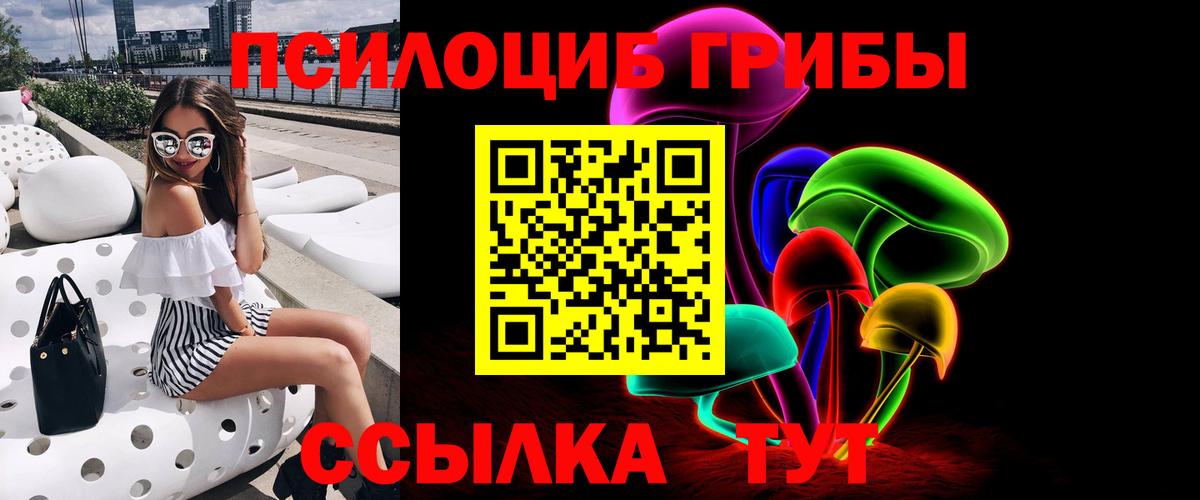 Псилоцибиновые грибы Psilocybe Котельники
